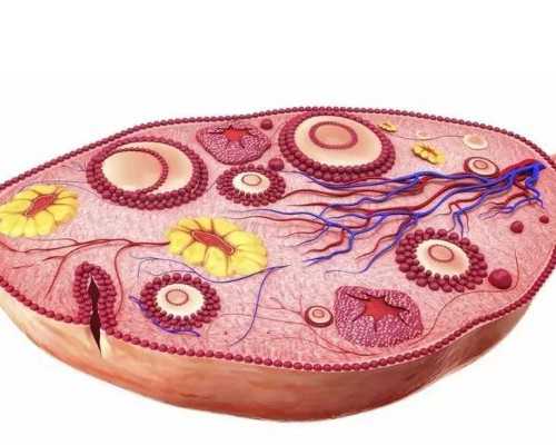 婴幼儿高蛋白过敏的症状,高蛋白质过敏的饮食禁忌-助孕供卵