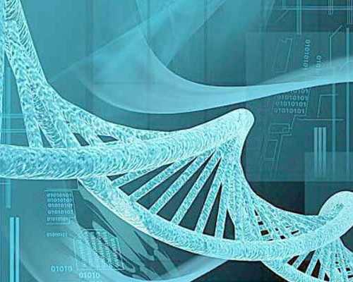 妊辰纹痒怎么办