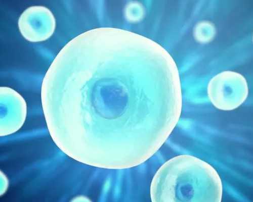 是不是胚胎质量不好就会自然流产