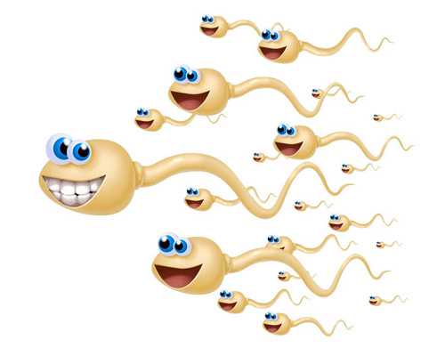 不戴避孕套会怀孕吗