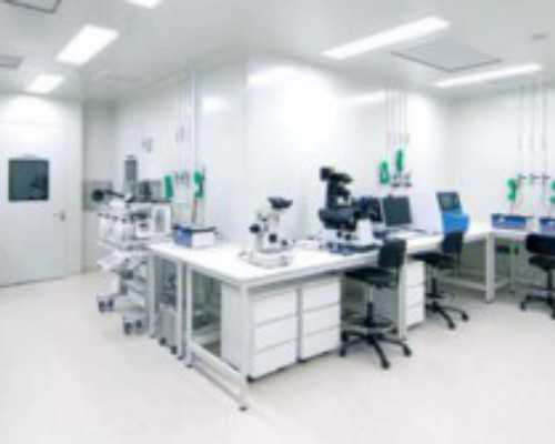 备孕期间女性多吃水果蔬菜更容易生女孩