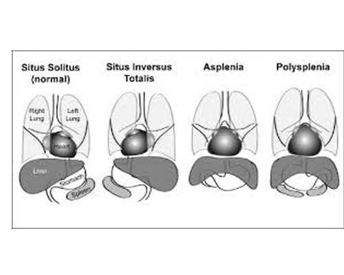 盘点准成都助孕妈妈洗澡的四大禁忌