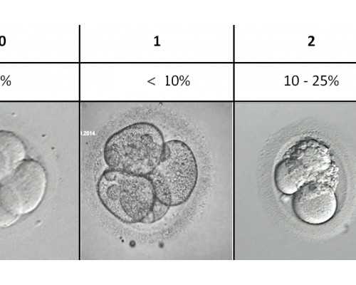孩子几个月会叫成都助孕妈妈