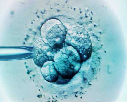 解冻后Y细胞冷冻存活时间，Y细胞冷冻解冻后能保存多长时间？-代怀包儿子