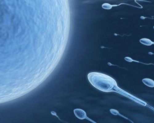 准成都助孕妈妈孕期如何护牙爱齿