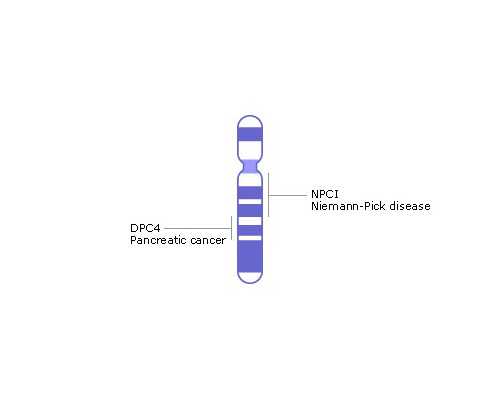 大连三代供卵试管婴儿医院排名？附大连各医院试管婴儿成功率明细？