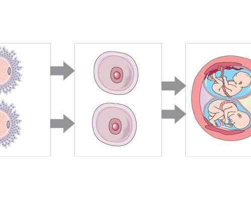吃什么对头发好？养头发的食物