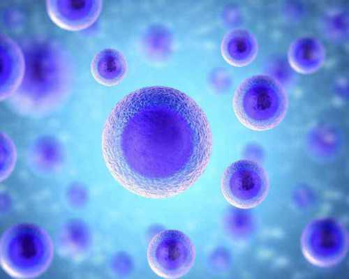 没有卵黄囊的原因分析「没有卵黄囊」-代生中介