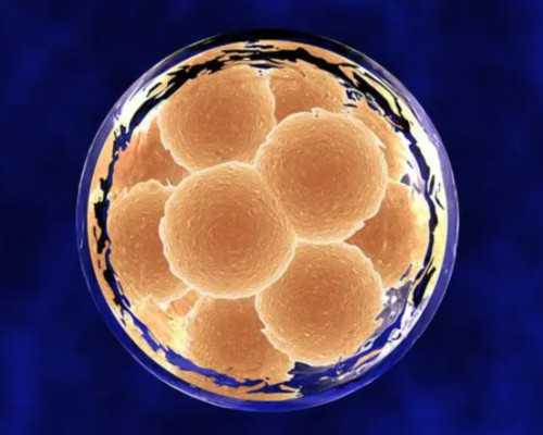 阑尾类癌切除后能不能怀孕？-代怀孕成功率