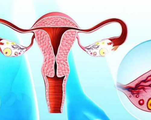 做试管婴儿不会增加儿童患癌风险-试管供卵代生