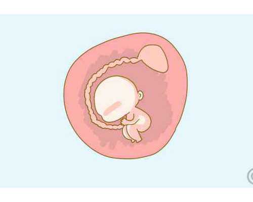 上海试管助孕包成功要注意哪些因素，这2个方面的条件要满足