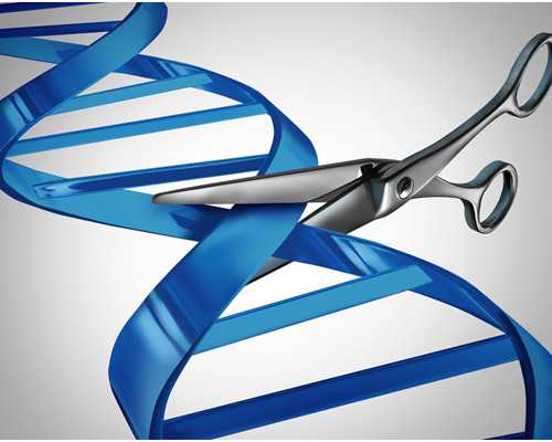 成都代生子花费,(成都代生助孕)成都代怀生子机构有哪些？附费用详情？