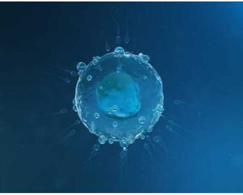 无精症治疗方法有哪些