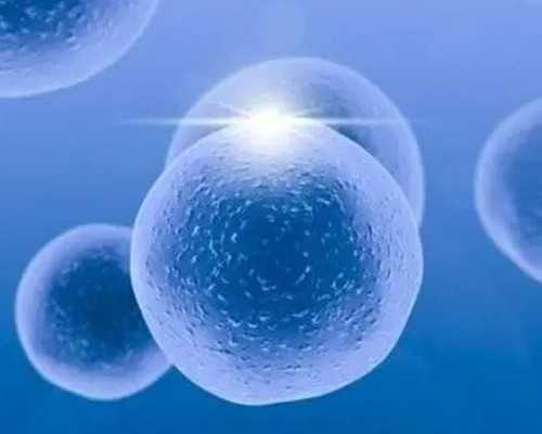 孕妇能吃花甲吗？花甲怎么吃好