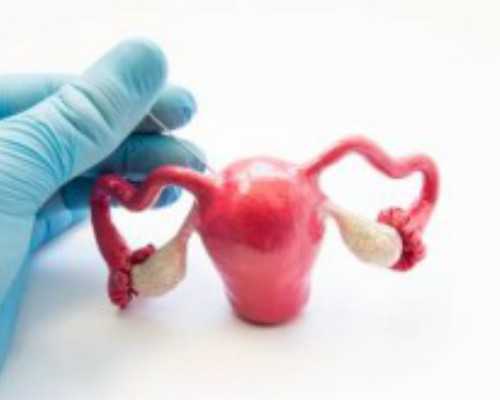 小儿尿常规白细胞1+-供卵代生收费