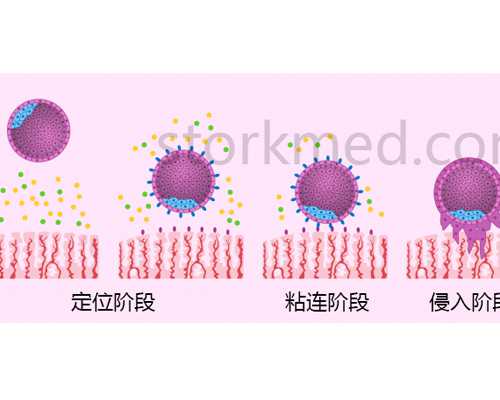 来看看16个基础卵泡能取多少卵，只有8个多半是这个原因