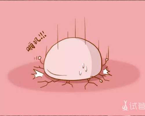 喜宝奶粉不同系列安全性对比，荷兰版、德国版各有优缺点