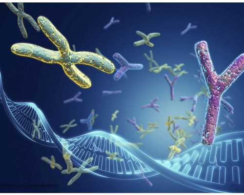 大连哪家辅助生殖医院做三代试管婴儿好？