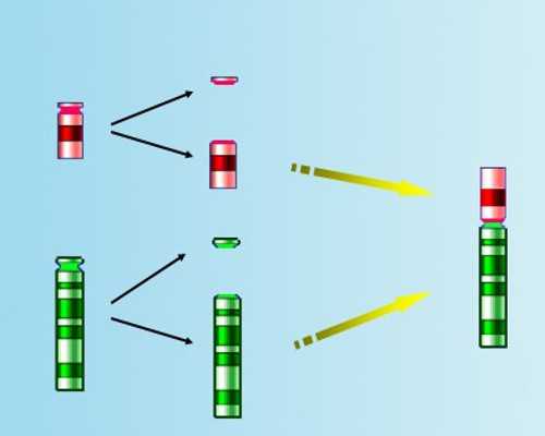 让准成都助孕妈妈胎儿都健康的饮食