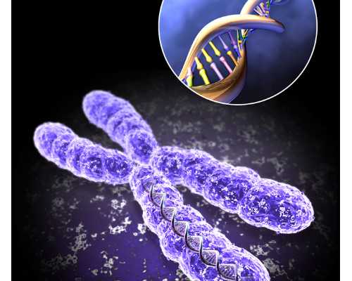 成都试管婴儿必做的前期检查有哪些？