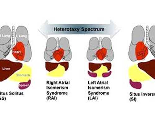 成都代生好找吗,(成都代生助孕)成都代怀生子机构有哪些？附费用详情？