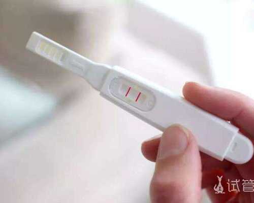 一个女人有多少个卵子？女性身体里一共多少卵子？