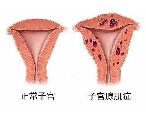 2026海军总医院做试管需提供的证件包括结婚证吗？