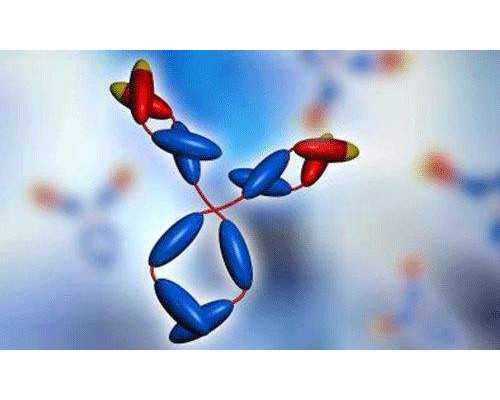 试管婴儿胚胎着床秘诀大揭秘，胚胎不用在担心