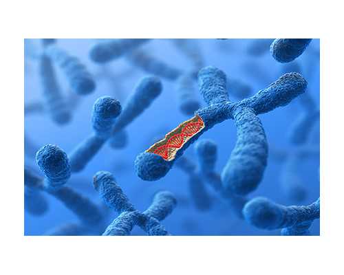 成都代生包成功,(成都代生助孕)成都代怀生子机构有哪些？附费用详情？