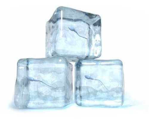 大连三代试管生男孩,大连市妇女儿童医疗中心试管婴儿成功率高吗？