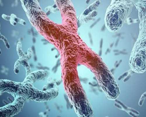 正骨可以治成都助孕妈妈臀吗