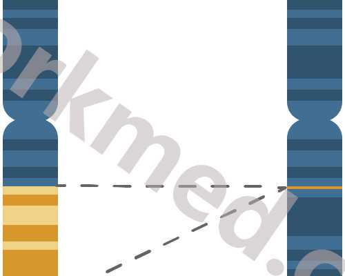 母乳喂养成都助孕妈妈瘦的快是什么原因？