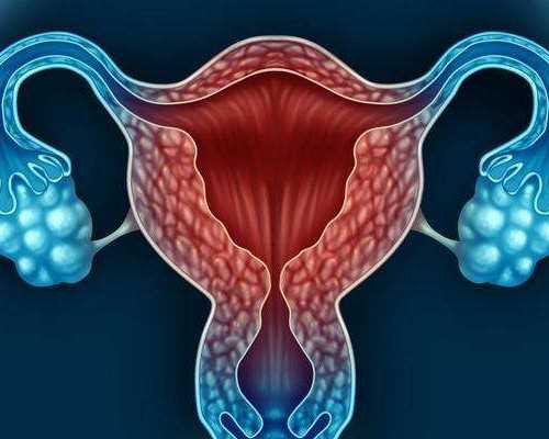 如何提高海外试管婴儿成功率,海外试管必备攻略