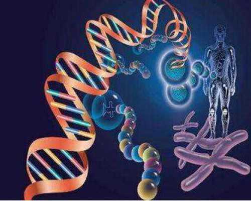 大连试管代生供卵,大连做试管婴儿多少钱,做试管婴儿要多少钱