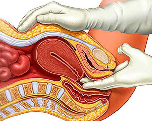 怀孕6周hcg值是多少-代怀包成功