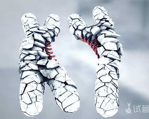 人工授精可以选择双胞胎吗