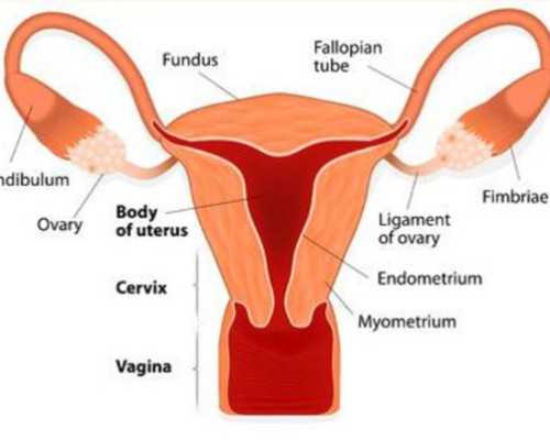 成都供卵机构包男孩,成都供卵机构，高龄来成都供卵试管能生孩子吗？