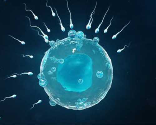 侧切和撕裂哪个好