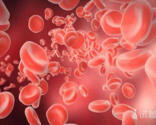 大连试管助孕代怀,大连有做三代试管包生男孩的医院吗？可靠吗？