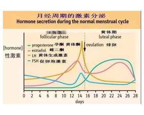 试管婴儿大连费用是多少？需51184元