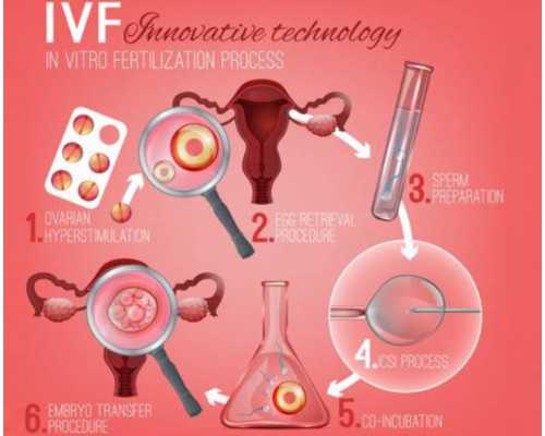 nt数值看性别你知多少？揭秘厚度1.5mm男宝女宝可能性