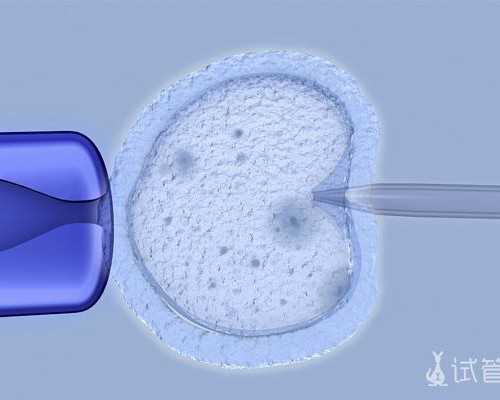 转铁蛋白是什么意思