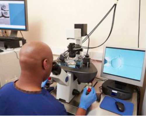 两个女的可以在美国加州做试管婴儿要孩子吗？