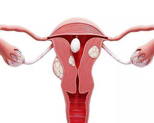 大连供卵机构在哪,上海供卵联系就选坤和助孕