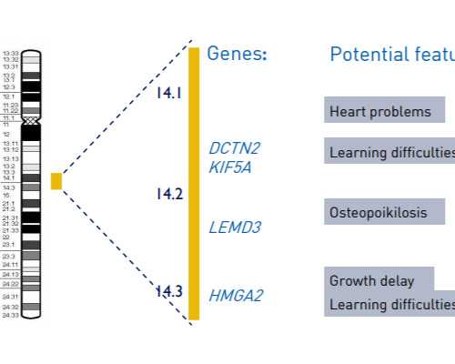 穷成都助孕妈妈富成都助孕妈妈大结局