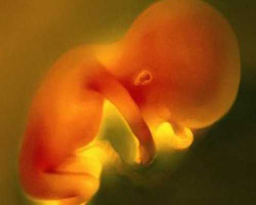 准成都助孕妈妈感冒了，怎么办?