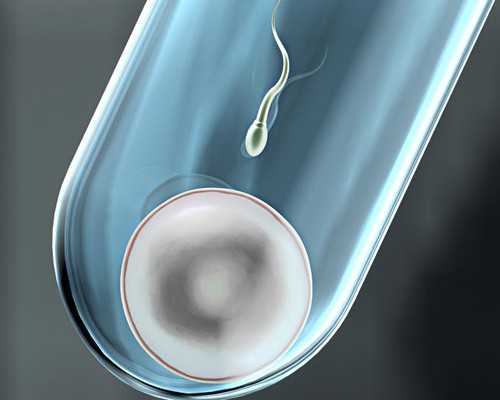 大连试管婴儿费用：每个环节的价格与总费用各异