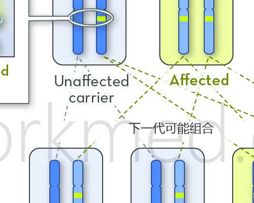 大连私人试管医院,大连市有试管婴儿生三代男孩医院吗？可靠吗？