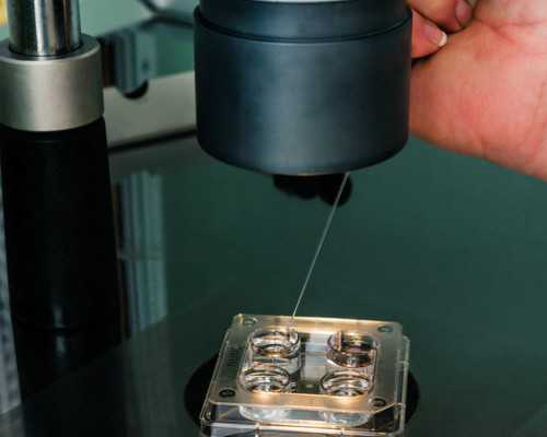 怀孕初期就感觉肚子疼很有可能你中了下面4招-试管代怀孕