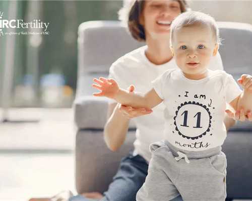 孕妇梦见蜜蜂是什么意思